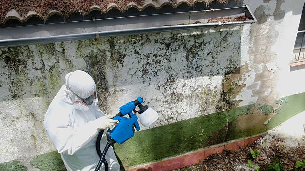 Trusted Commercial Mold Remediation service in Flint Hill, VA - Cheap Mold Removal
